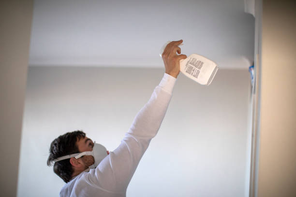 Best Residential Mold Removal  in Edwardsvle, IL