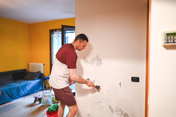 Best Home Mold Removal  in Edwardsvle, IL